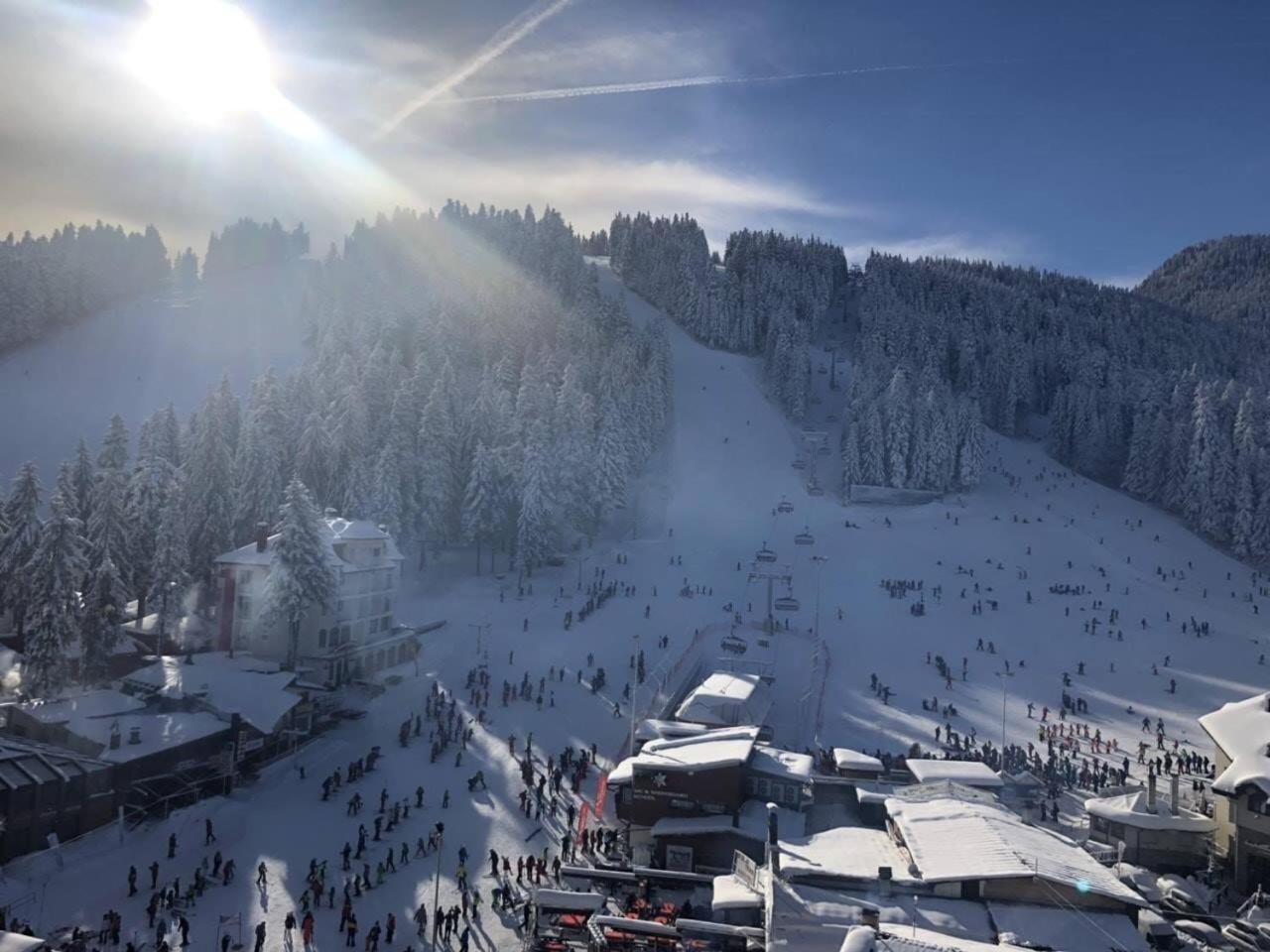 Apartment Iva - Iglika 2 Borovets Eksteriør billede