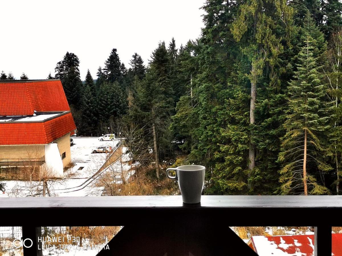 Apartment Iva - Iglika 2 Borovets Eksteriør billede